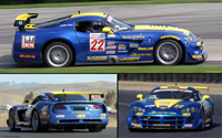Dodge Viper Competition Coupe - #22, 3R Racing. Winner, SCCA SPEED World Challenge GT Series 2004. Tommy Archer